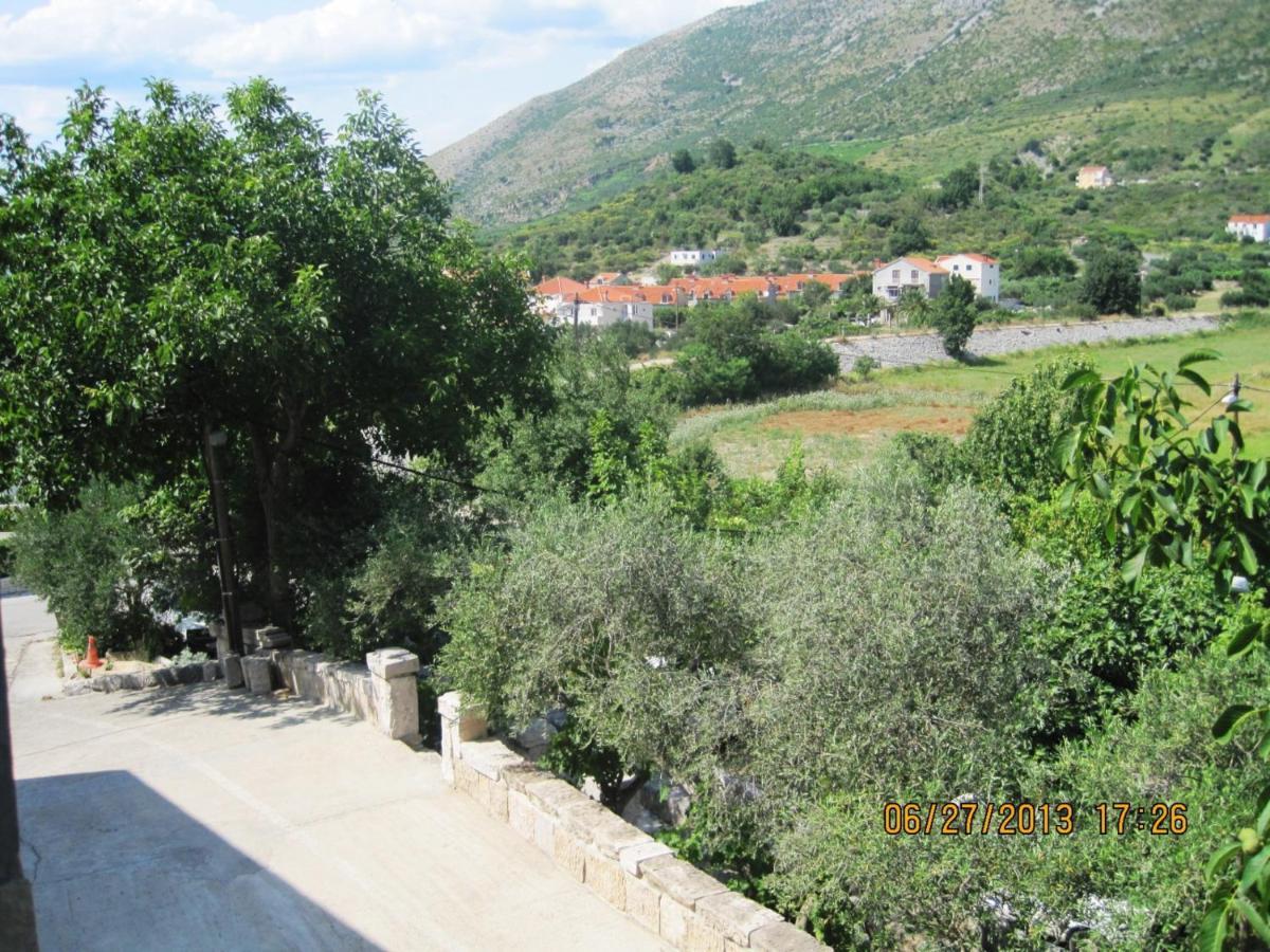 Country House Pansion Zvekovica Bagian luar foto